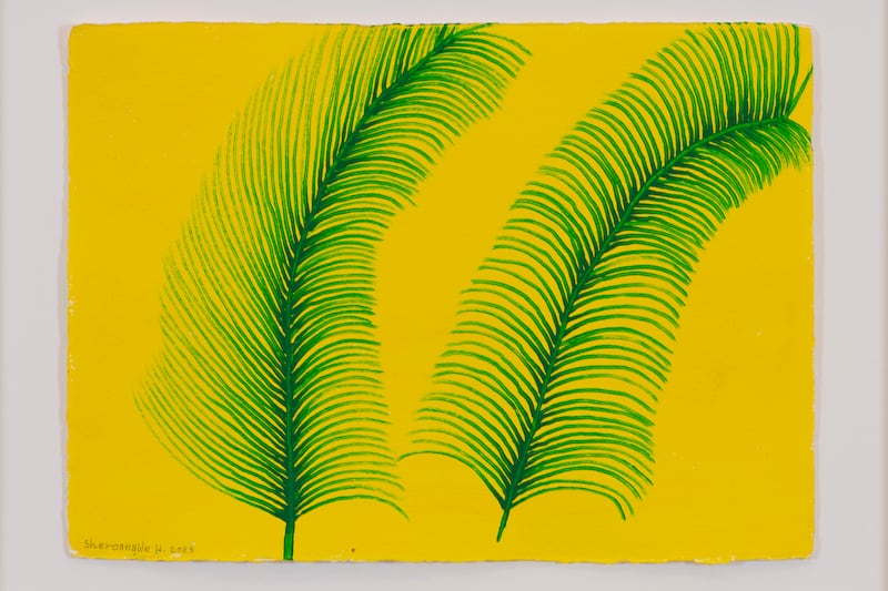 Sheroanawe Hakihiiwe, Palms of spirits that fan the world, 2023
Photography by Colin Davison, courtesy of the artist, Cecilia Brunson Projects and ABRA Caracas