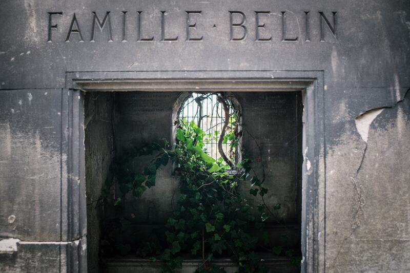 Plants growing inside one of the crypts at the Père-Lachaise cemetery. Photograph: Dmitry Kostyukov/The New York Times