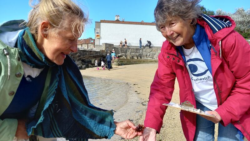 Karin Dubsky of Coastwatch out surveying the Dublin coastline with  volunteer surveyor Roslyn Nicholson. File image