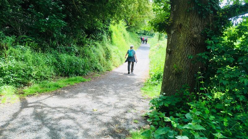 St Declan’s Way from Cashel, Co Tipperary, to Ardmore, Co Waterford, is one of Ireland’s oldest pilgrim paths