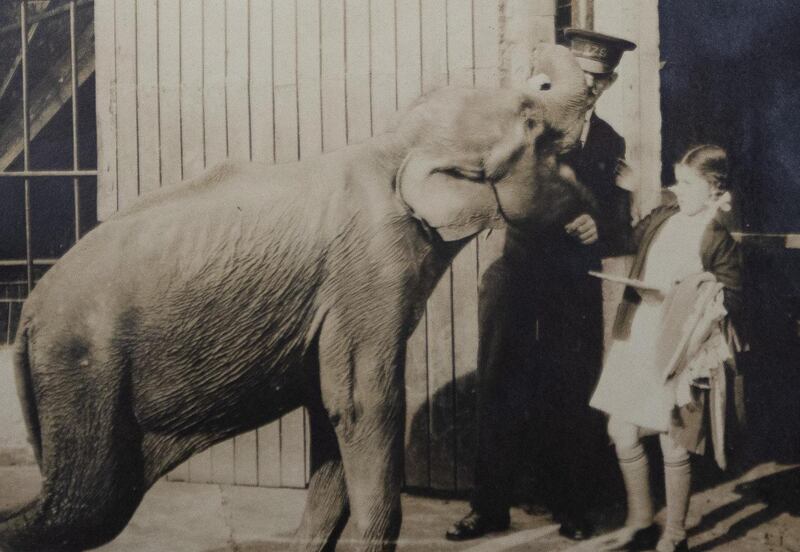 Elizabeth O’Kelly with an elephant at London Zoo