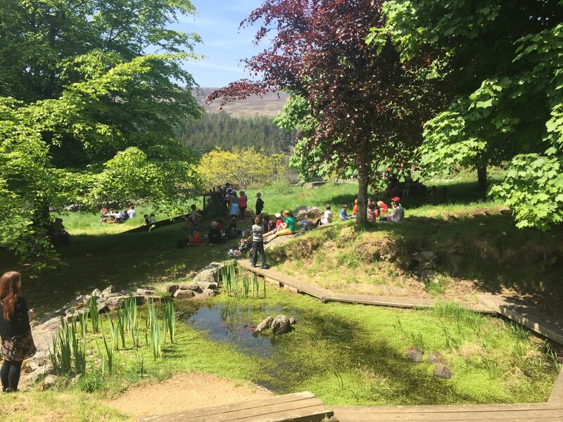 Children having lunch at the frog and newt pond in Pine Forest, in Co Wicklow