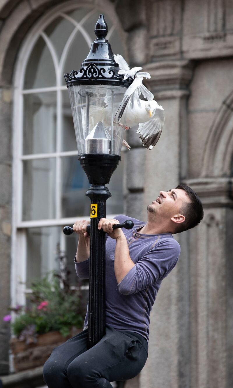 STANDALONE5/7/2020South William Street ,Dublin.A man tried to rescue the injured Seagull.Photo: Tom Honan for The Irish Times.