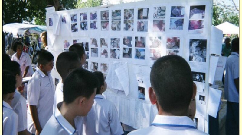 Fíorscéal: After the Wave