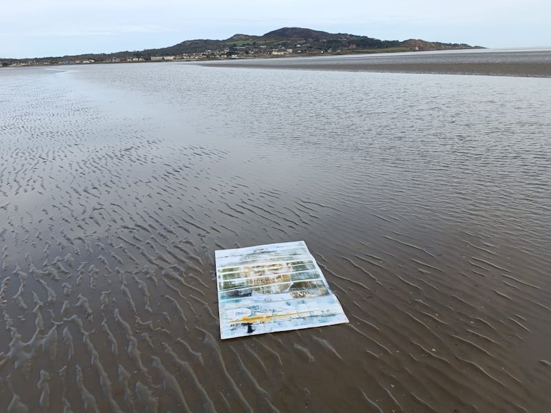 An old election poster found around Bull Island by beach cleaner Brian Bolger. Photograph: Brian Bolger 