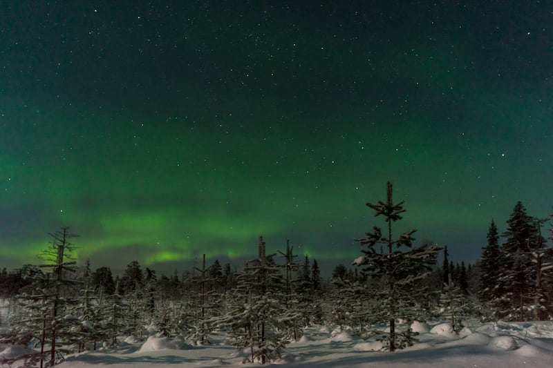 Northern lights in Lapland.
