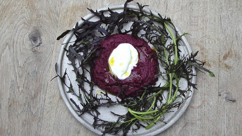 Beetroot dip with a dash of Velvet Cloud yogurt