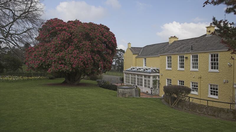 Ballinteskin Stud features a good-sized garden with lots of mature trees and bushes to one side of the house.