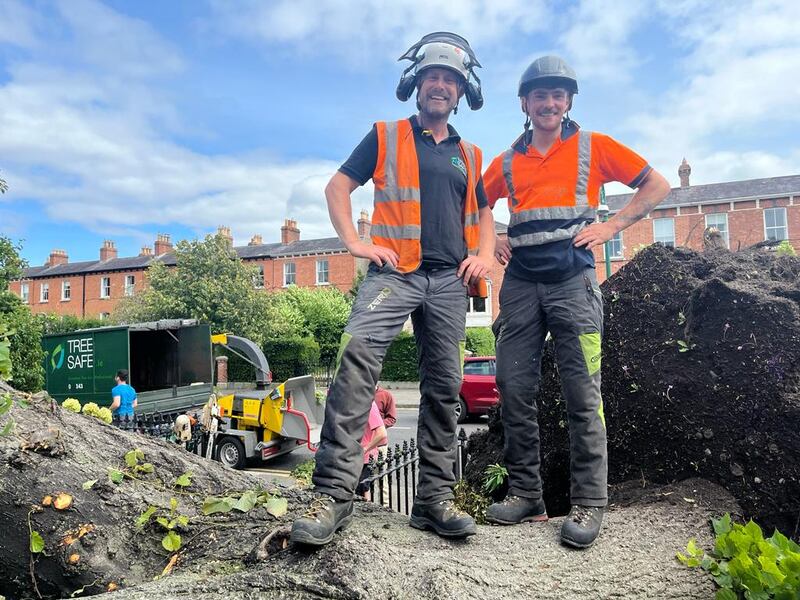 Tree surgeons Colin Nixon and James Beatty Doyle at the site of the fallen tree at Palmerstown Road, Rathmines. Photograph: Conor Pope