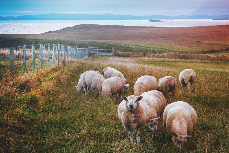 'I had completed a book and was suffering from what my wife called burnout. I called it soul tiredness.' Photograph: Peter Zelei Images