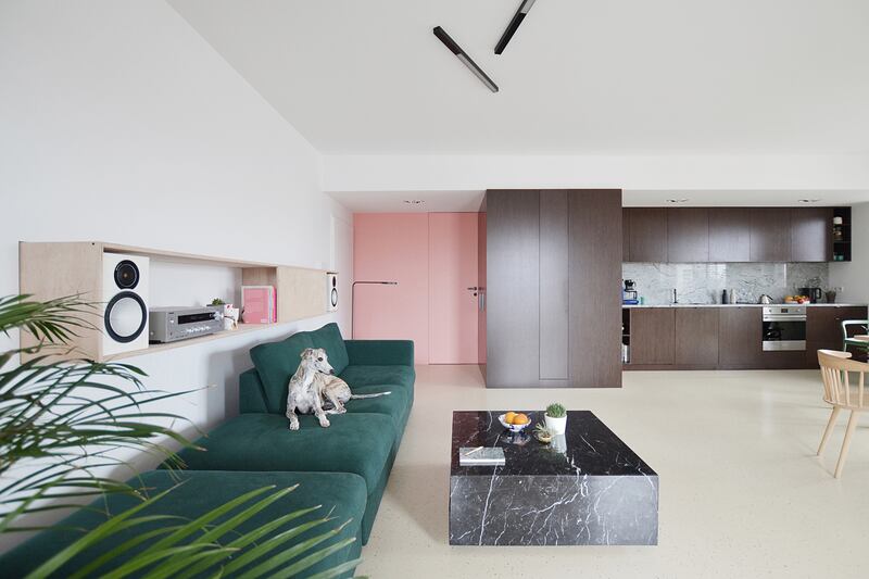Grzegorz Layer: redesigned an apartment for a couple and two dogs