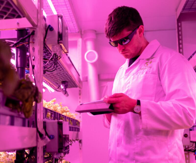 Donegal facilitates a culture of innovation and advancement.