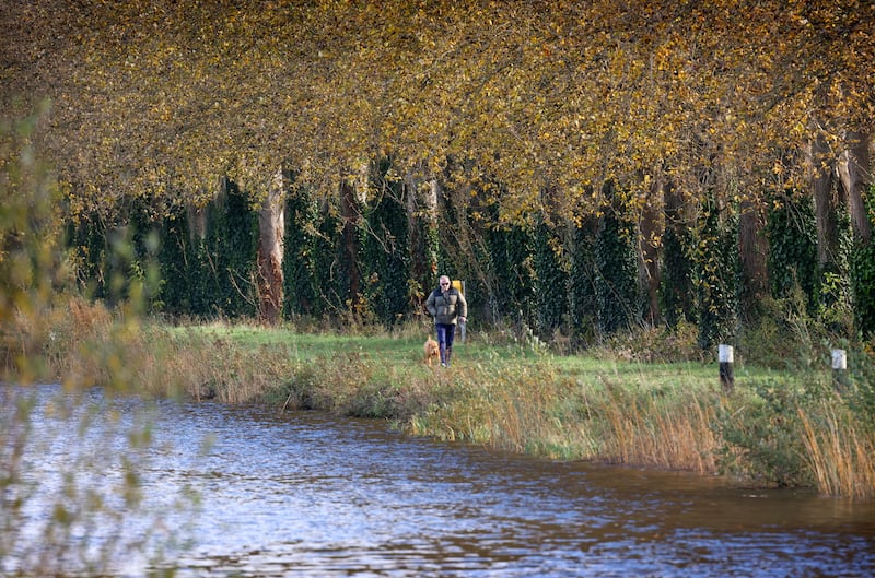 Tullamore in Co Offaly is home to the former taoiseach and Fianna Fáil leader Brian Cowen and his brother MEP Barry Cowen. Photograph: Dara Mac Dónaill/ The Irish Times
