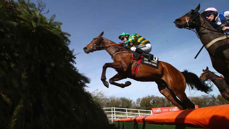 Second last year, Cause of Causes will run his heart out in the Grand National if he gets to the starting line.