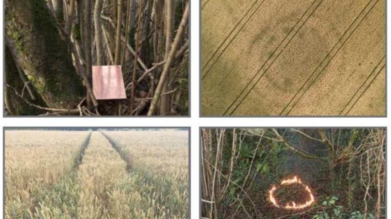 From Crystalline by Siobhan McDonald