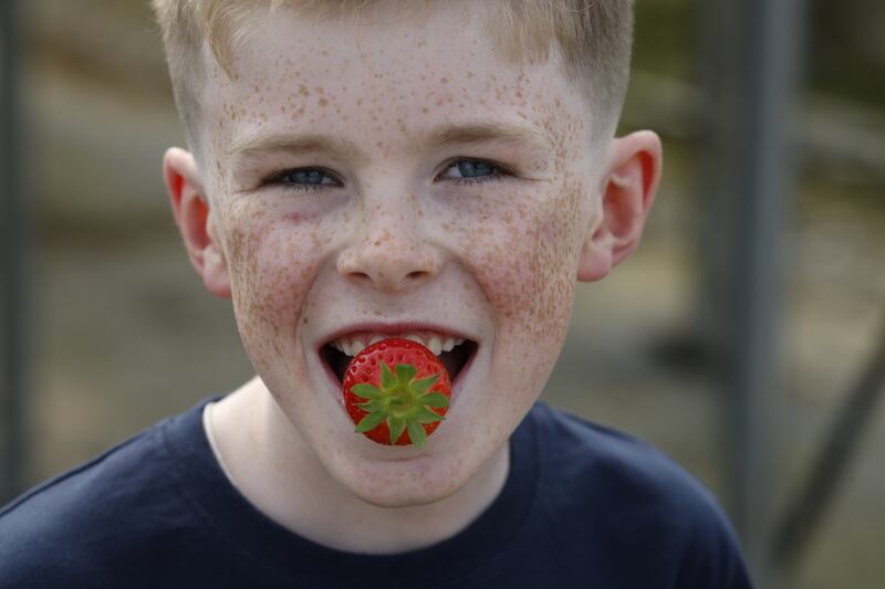 Nine-year-old Edmund Crean. 'Yes it‘s a family farm, but it‘s a family farm with a lot of families supporting it,' says his dad Eamonn. Photograph: Nick Bradshaw