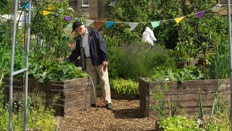 Raised beds like these at  Mud Island Community Garden in Dublin are better for gardeners’ backs and easier to maintain