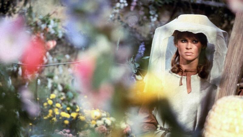 Top Thomas Hardy adaptation: Julie Christie in John Schlesinger’s 1967 film of Far from the Madding Crowd, which also starred Terence Stamp, with cinematography by Nicolas Roeg