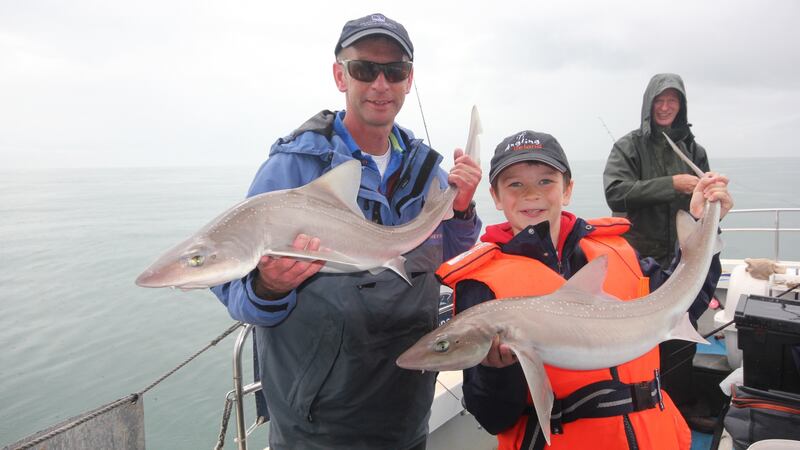 Two specimen smooth hounds for Des Chew and son John Patrick, fishing at Wicklow