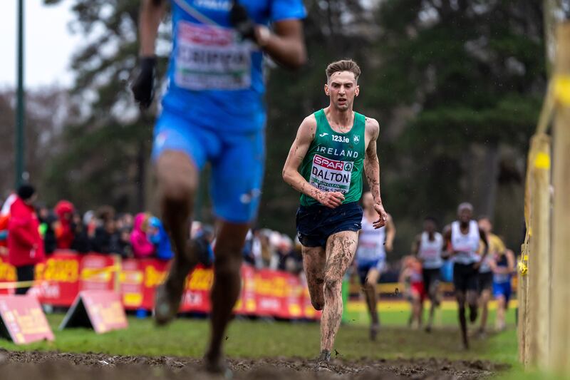 Ireland’s Cormac Dalton running in the Men’s Senior race at the 2023 SPAR European Cross Country Championships in Brussels. Photograph: Morgan Treacy/Inpho 