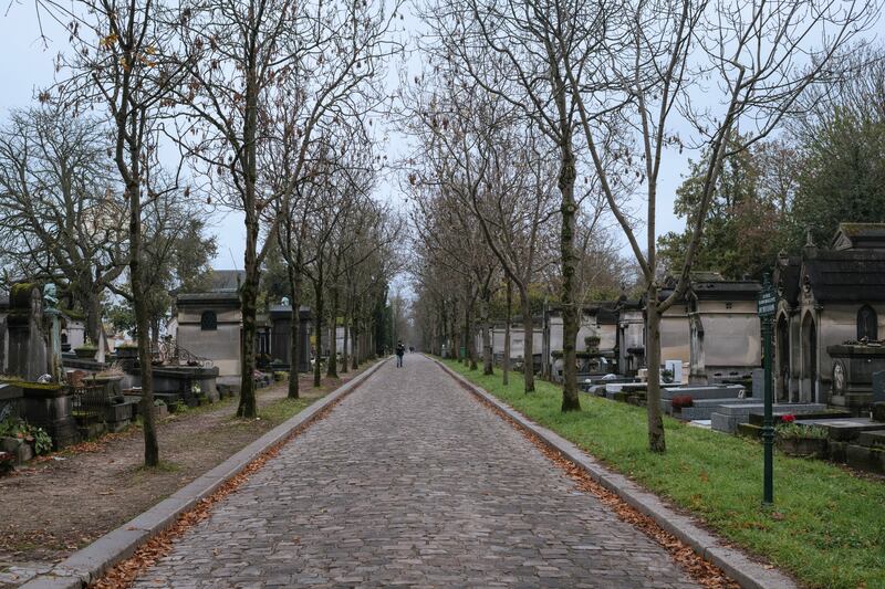 The old, more austere approach to nature is seen in the dirt pathway at left. The new approach is embodied by the grassy lane at right. Photograph: Dmitry Kostyukov/The New York Times
