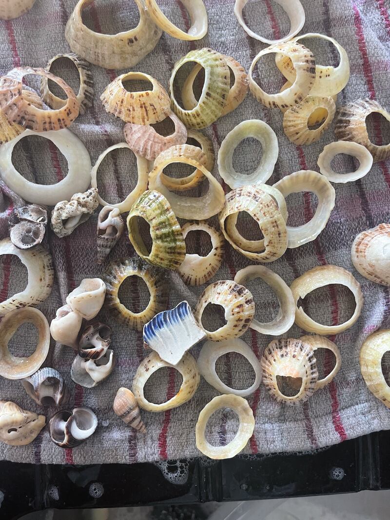 Making a shell wall hanging is a lovely project to do with all the shells that end up coming home in buckets and bags