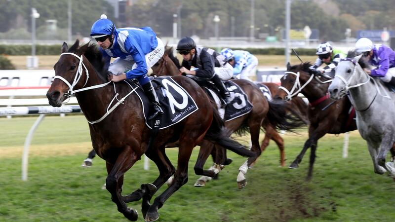 Winx on her way to a record 26th consecutive victory. Photograph: Bob Barker/AFP