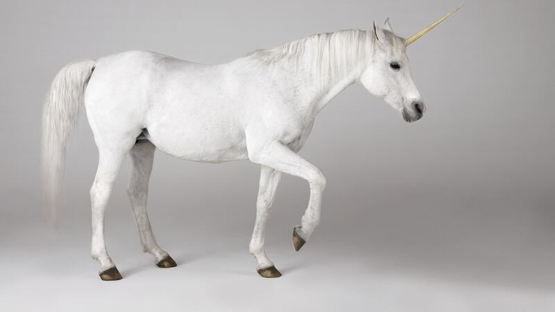 Lazarow’s contrasts Silicon Valley’s desire to create unicorns – start-ups that reach the magical $1 billion valuation –  with frontier innovators’ creation of camels