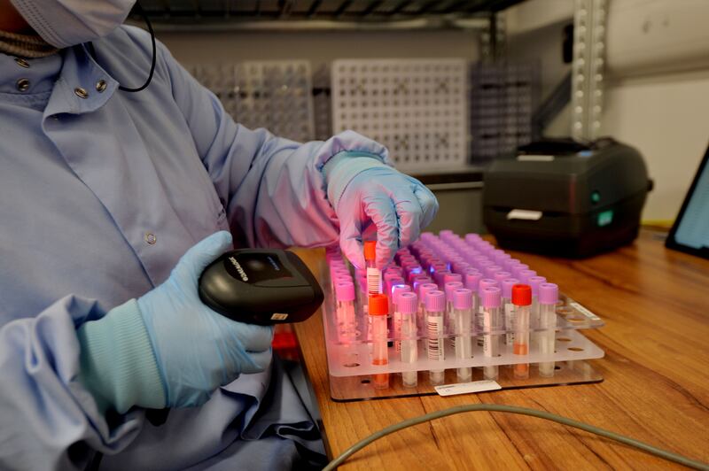 The UK Department of Health and Social Care said the UK government “rightly took every possible step to rapidly build the largest testing industry in UK history from scratch” and that Randox, and others, made a “significant contribution”. Photograph: Alan Betson 