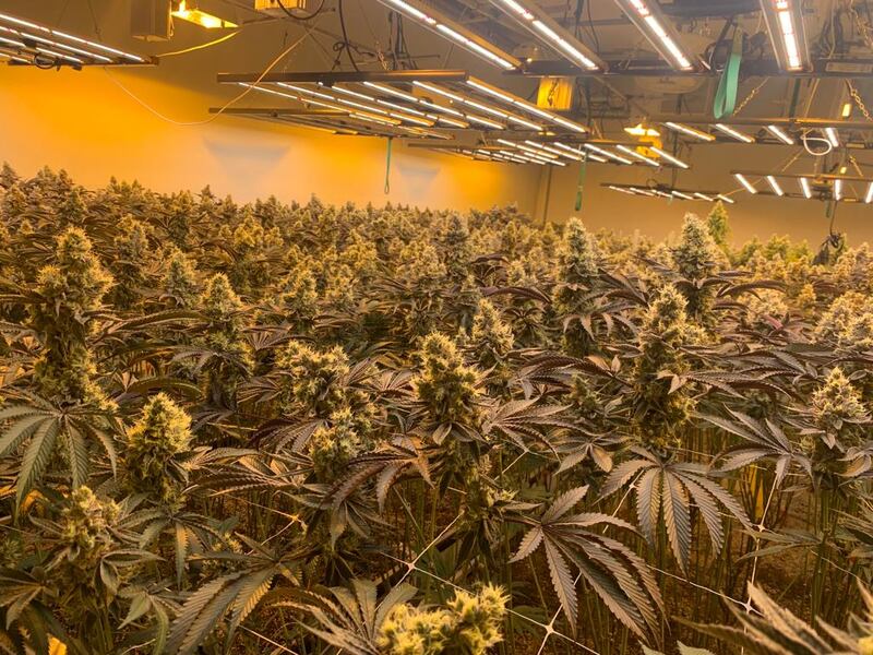 Sweetgrass Cannabis’s growing and processing facility near Nelson in British Columbia.