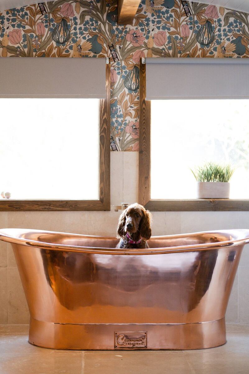 Galgorm resort offers a range of dog-friendly accommodation where both you and your four-legged friend can relax in the lap of luxury