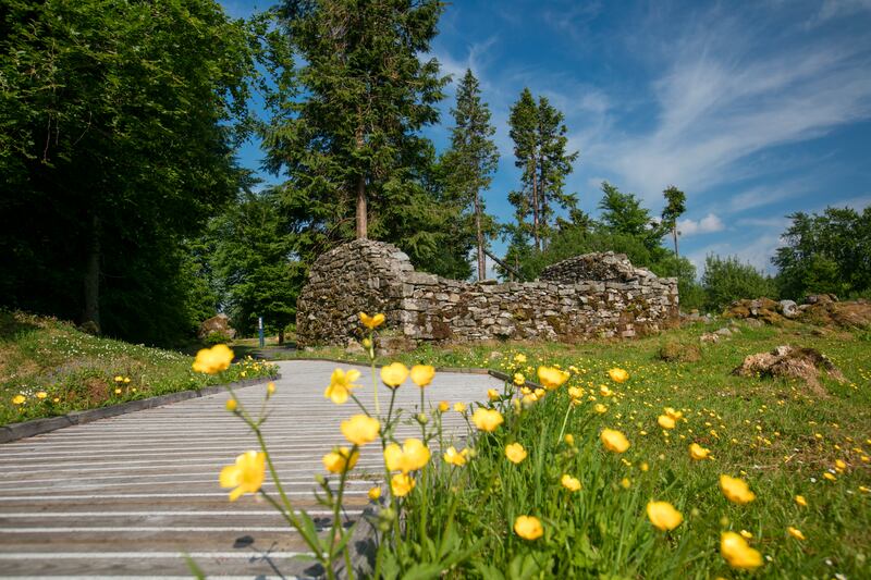 Walking trail, Cavan Burren Park, Co Cavan
