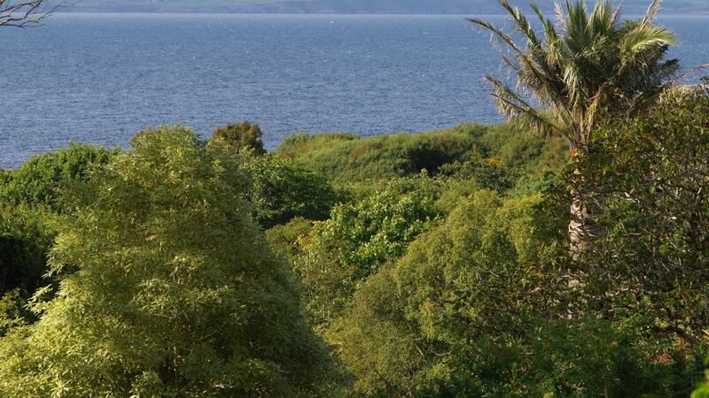 The Robinsonian gardens of Kells bay in south-west Kerry. Photograph: Richard Johnston