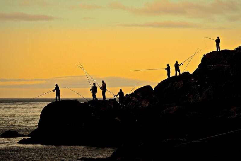 Early morning spinning for mackerel. Photograph: Cairbre Ó Ciardha