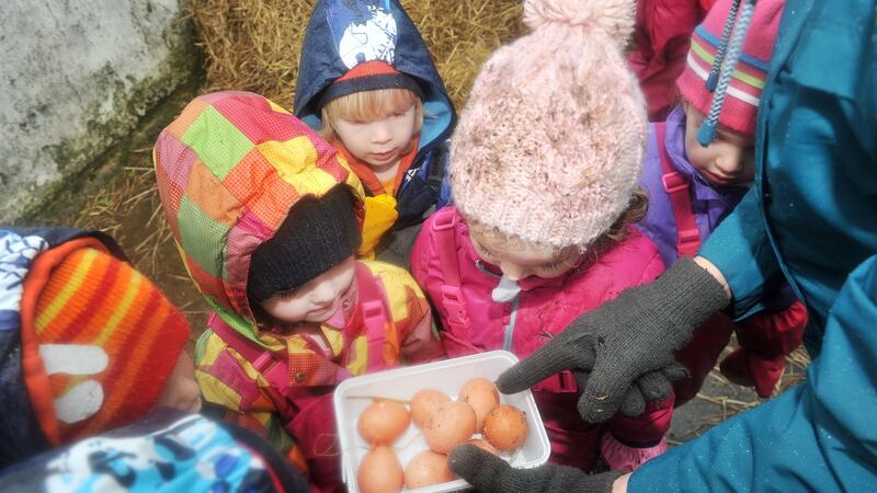 Pre-school located on Miina Murphy’s family farm in Kildinan, Co Cork. Photograph:  Daragh Mc Sweeney/Provision