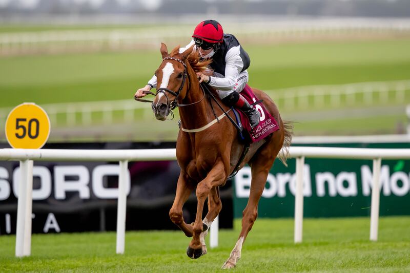 Search For A Song finished fourth to Scope in last year’s Royal Oak, a race Weld won previously won 21 years ago with Vinne Roe. File photograph: Inpho