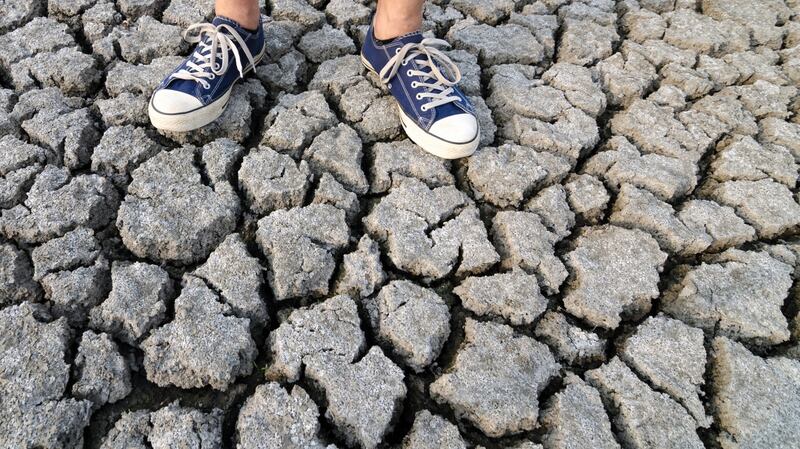 Photograph: Thinkstock/Getty Images