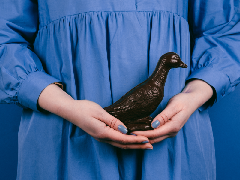 Bean and Goose Easter goose