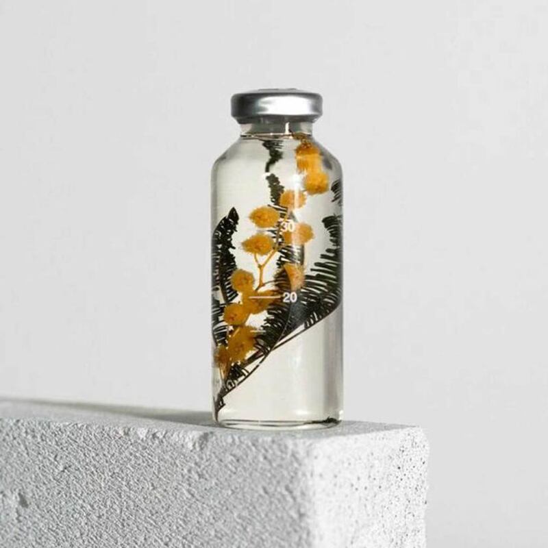Designist 30ml bottled mimosa plant €25