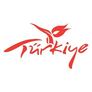 GoTürkiye