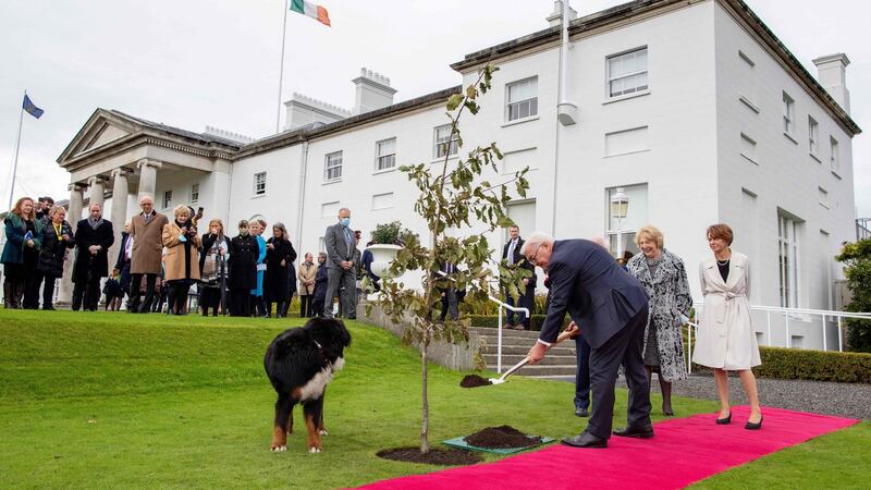 President of Germany Frank-Walter Steinmeier plants a tree. Photograph: Paul Faith/AFP via Getty