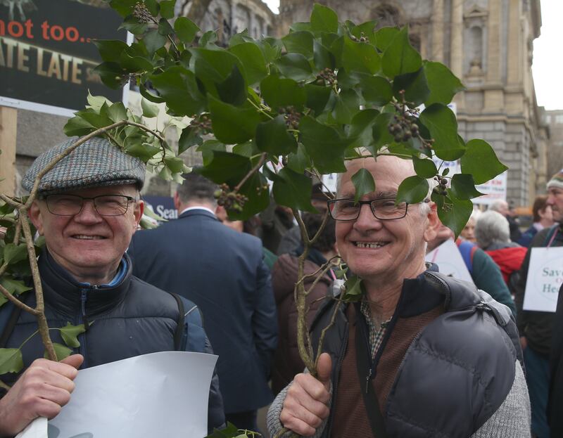 Brian Gleeson and Martin O'Dwyer at the Hedgerows Ireland protest outside Leinster House on Wednesday. A letter was delivered to the Minister for Agriculture Charlie McConalogue demanding action to save and enhance our hedgerows. Pic Stephen Collins/Collins Photos
