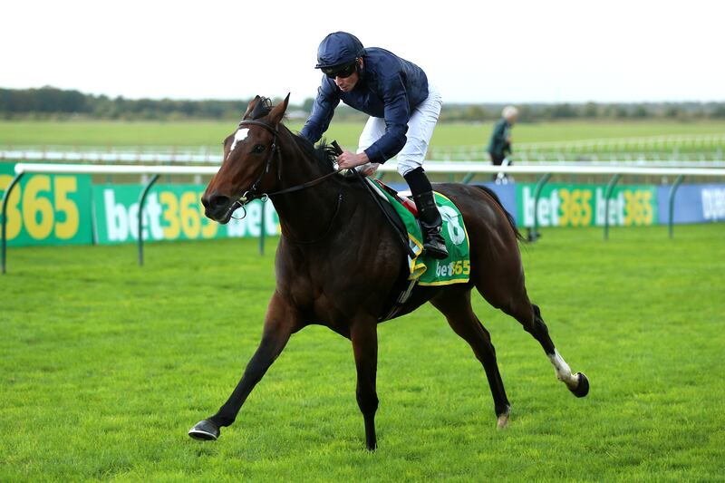 Ylang Ylang ridden by jockey Ryan Moore at Newmarket Racecourse, Suffolk in October 2023. Photograph: Nigel French/PA Wire
