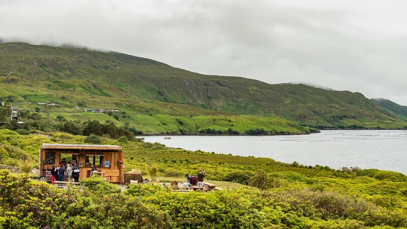Misunderstood Heron, Leenane, Co Galway