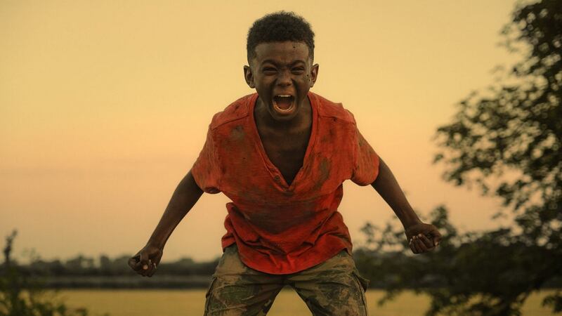 Tai Golding in The Last Tree