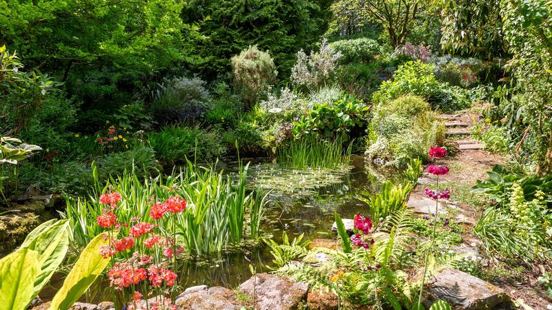 ‘The Loders do two things, horses and gardens. That’s it,’ says Sue Loder