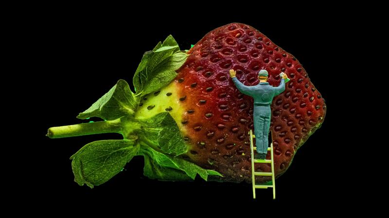 Jacki Gordon, Wash Before Eating