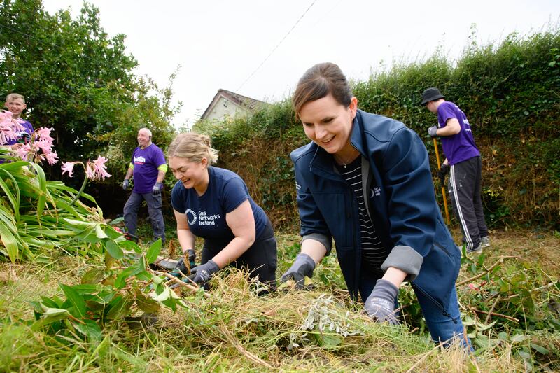 One in five of Gas Networks Ireland volunteers participate in community engagement activities. Photograph: Daragh Mc Sweeney/Provision