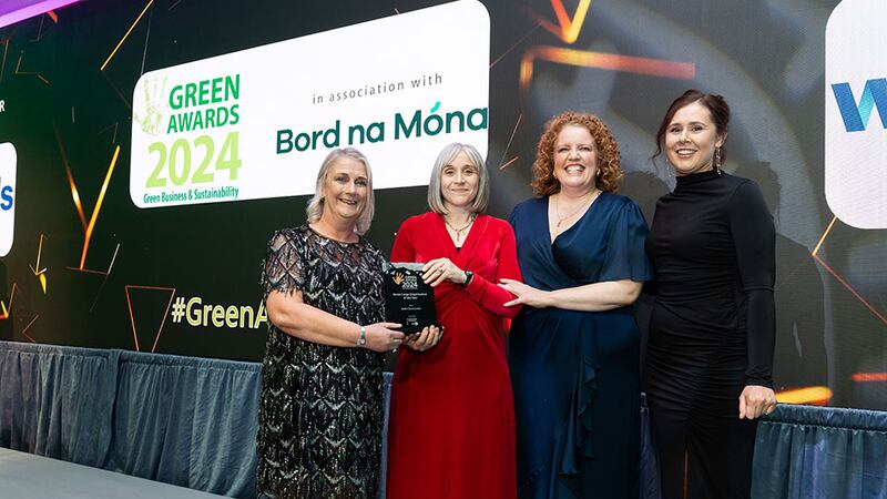 Liz Horgan, programme manager at sustainable enterprise Skillnet, presents the green large organisation of the year award to Walls Construction team