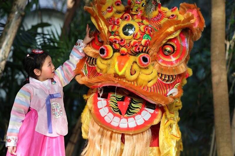 Maya Wai (6) with the Flower City Lion Dancers at the launch of Dublin City Council’s Lunar New Year celebrations. Photograph: Dara Mac Dónaill


